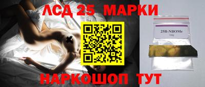 стафф Гатчина