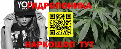 прущий лед Гай