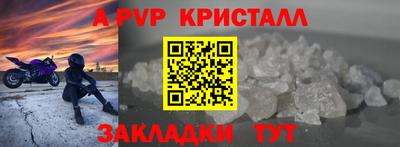 стафф Гатчина