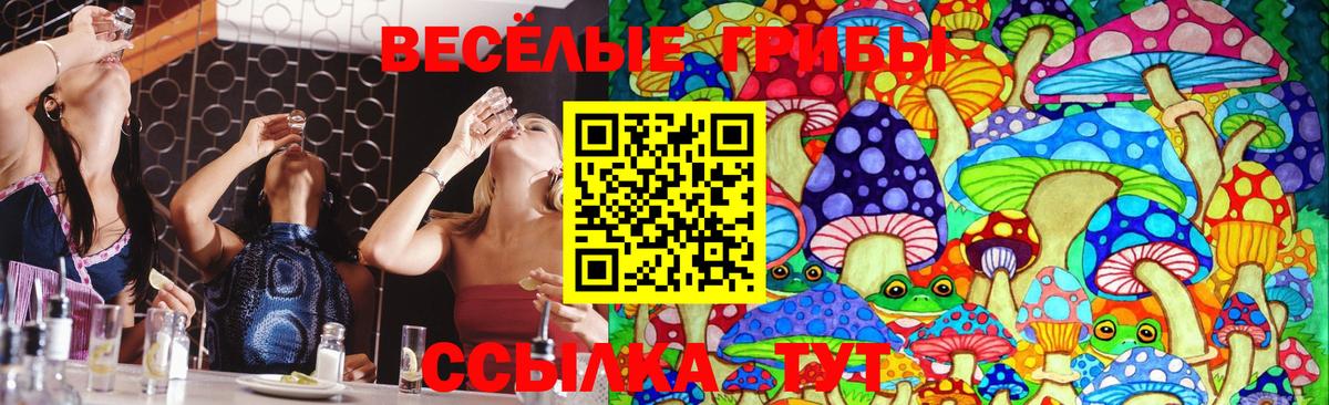 Меф МЯУ МЯУ   Экстази  Клин  APVP СК кристаллы  Гашиш  Вход с VPN  Конопля  Марихуана 
